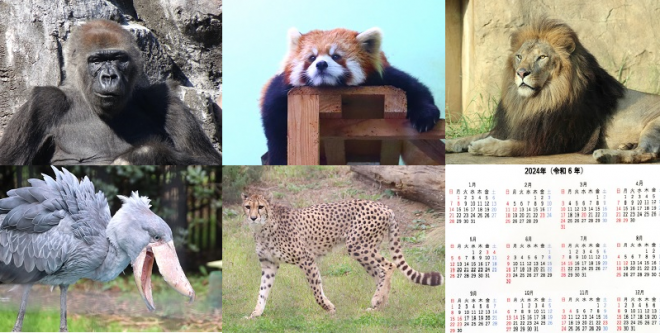 2024動物公園協力会カレンダー