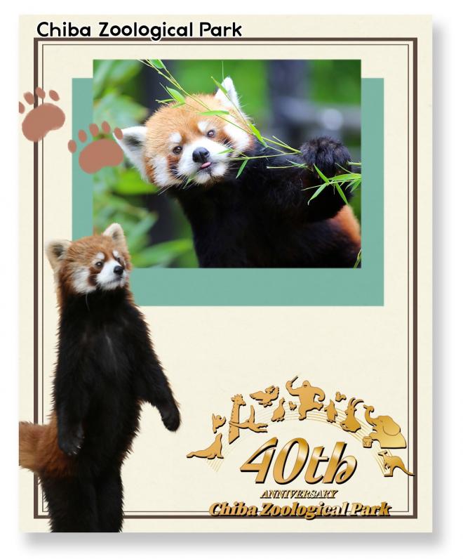 プリクラフレーム