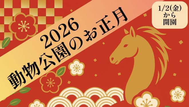 正月バナー2026