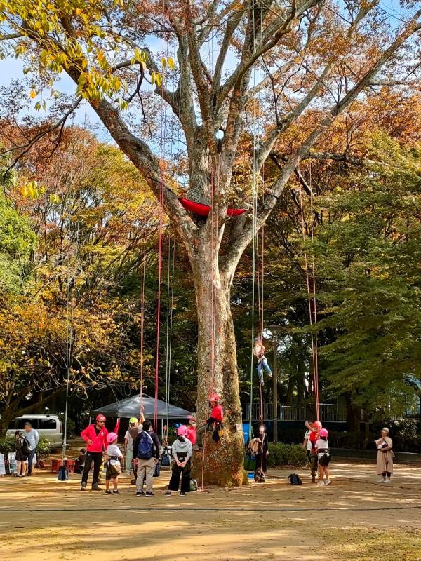 ツリークライミング2024