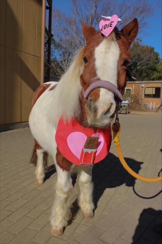 わくわくバレンタインイベント2026