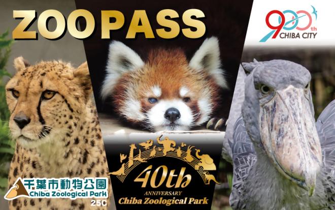 40周年デザイン年パス