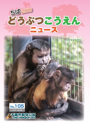 zooニュース105号