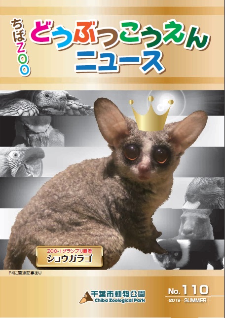 どうぶつこうえんニュース110号
