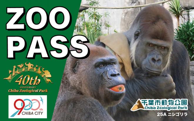 2025年パスデザインA