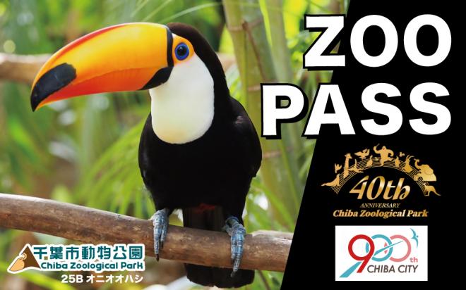 2025年パスデザインB