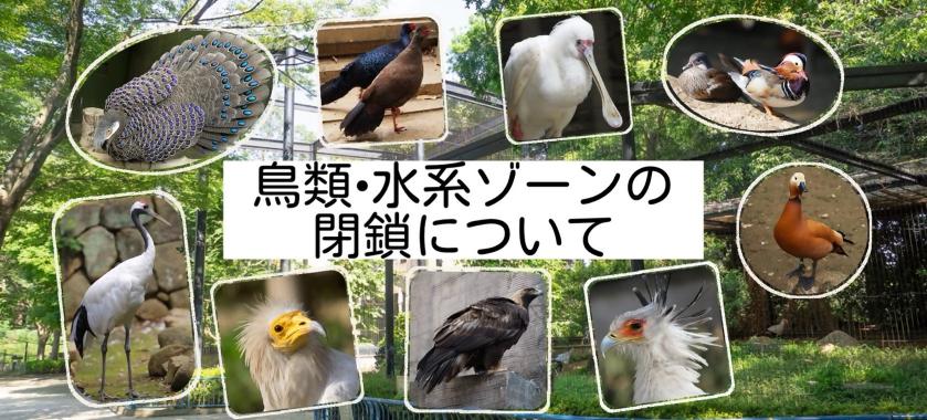 鳥類水系ゾーンの閉鎖について