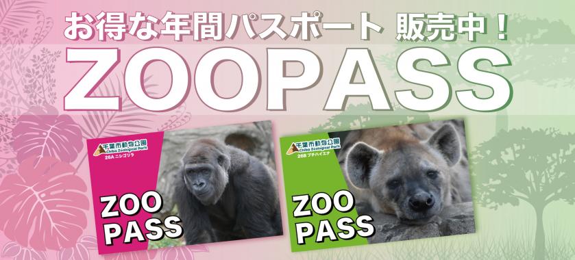 2026年度年パスバナー