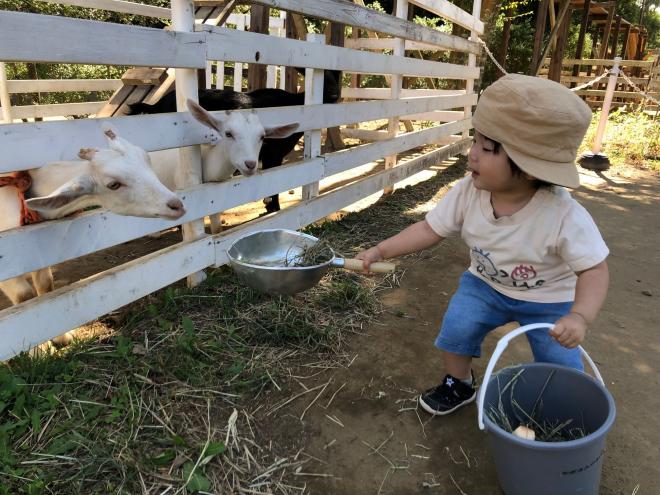 ふれあい動物の里画像2024
