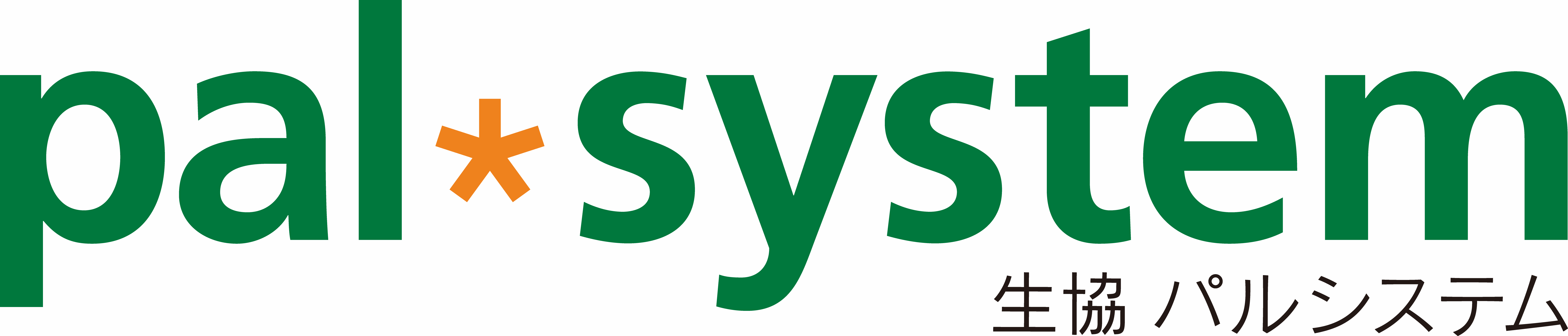 palsystem_logo