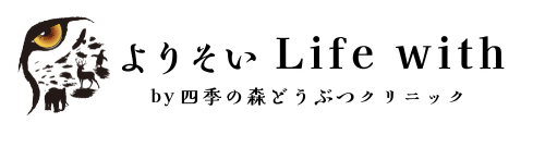 yorisoi