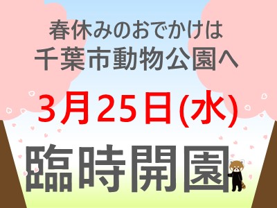 20260325臨時開園バナー（市トップページ用）
