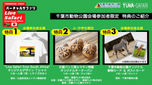 ライブサファリ画像2