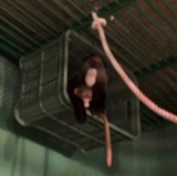 ブラッザ（エンリッチメント）