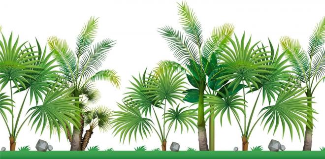 ガラスフィルム