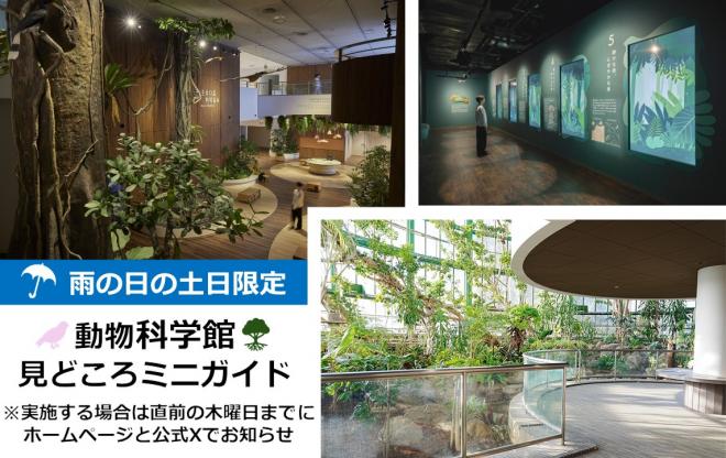 雨の日ミニガイド