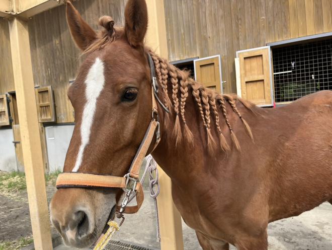 ヘアゴム使用イメージ