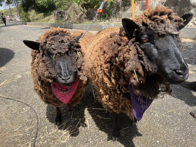 バンダナ使用イメージ