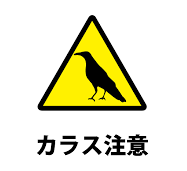 カラス注意