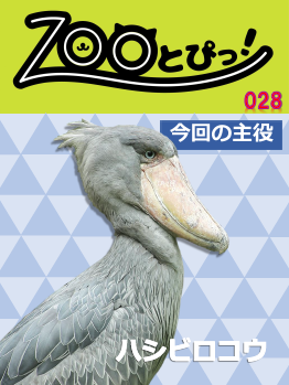ZooFullマガジン28
