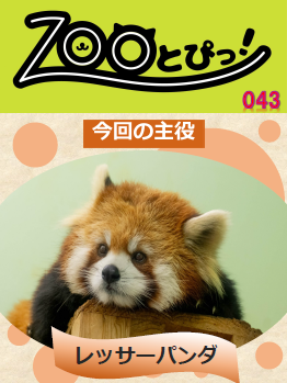 ZooFullマガジン43