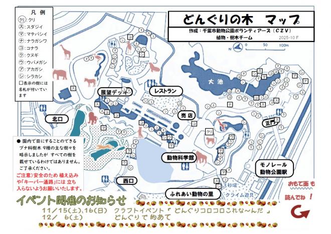 どんぐりの木マップ