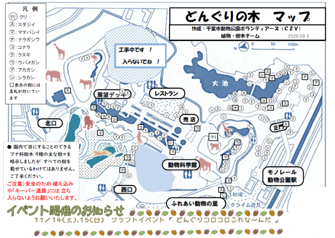 どんぐりマップ