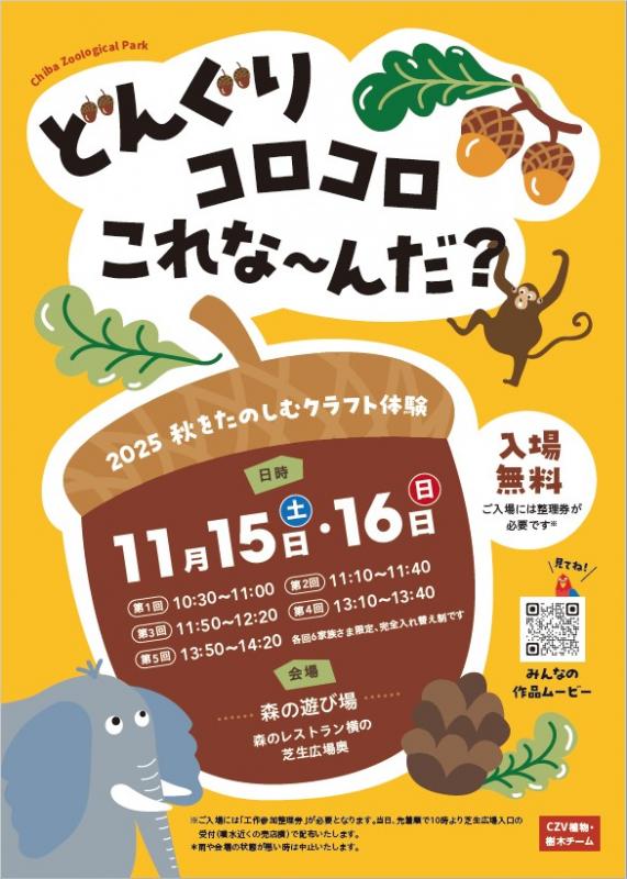 どんぐりコロコロ2025