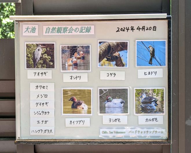 ホワイトボード