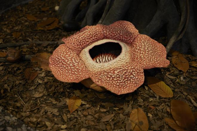 科学館エントランス4