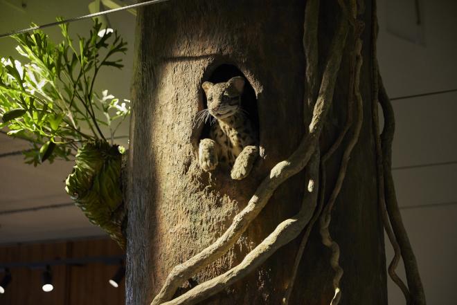 科学館エントランス2