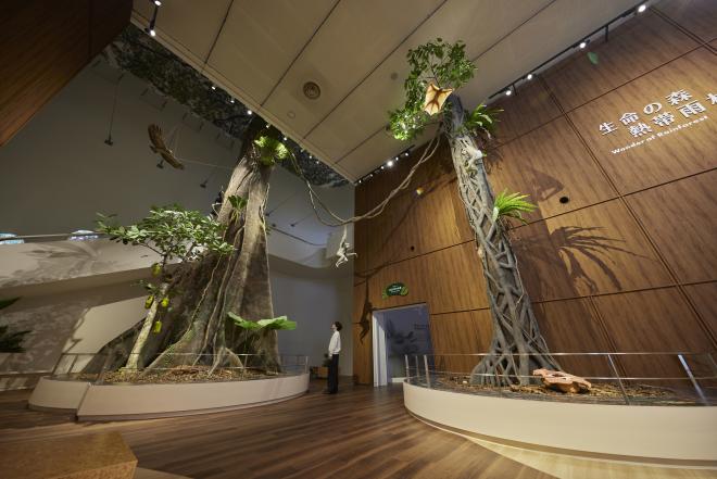 科学館エントランス5