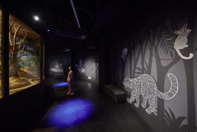 闇の世界に暮らす