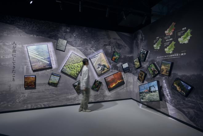 人が森にしてきたこと2