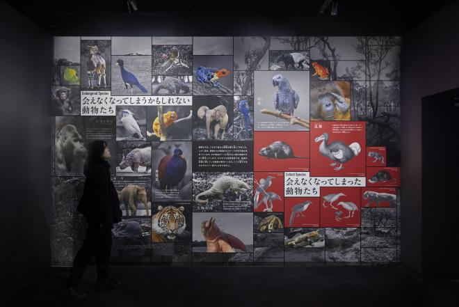 人が森にしてきたこと3