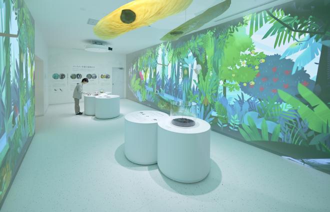 植物の拡大戦略1