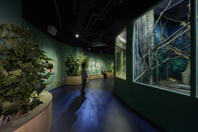 科学館小型サル