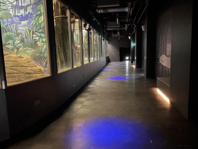 科学館1F夜行性獣